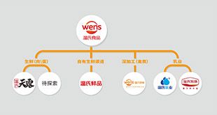 凯发k8国际首页登录食品品牌架构